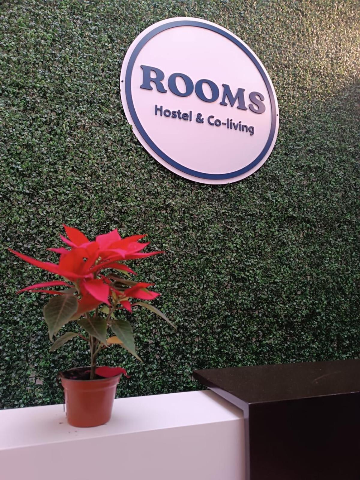 Hostal Roma Mexikóváros Kültér fotó